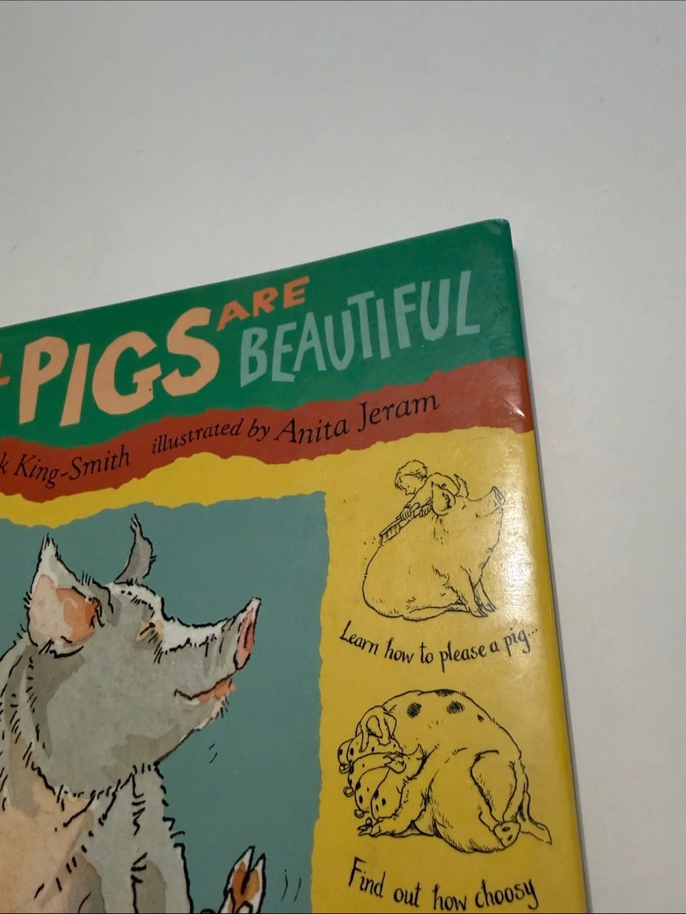 All Pigs Are Beautiful Children's Book - Green/Yellow Hard Cover